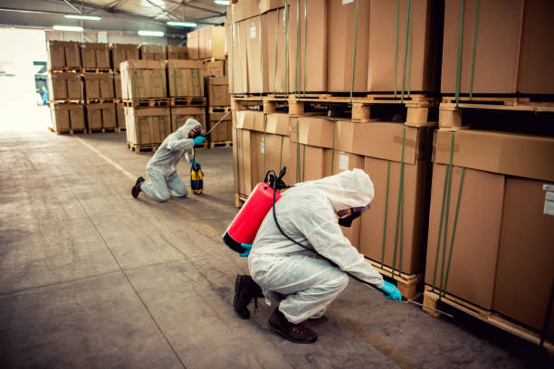 Best Wildlife Control Services  in Pce, LA