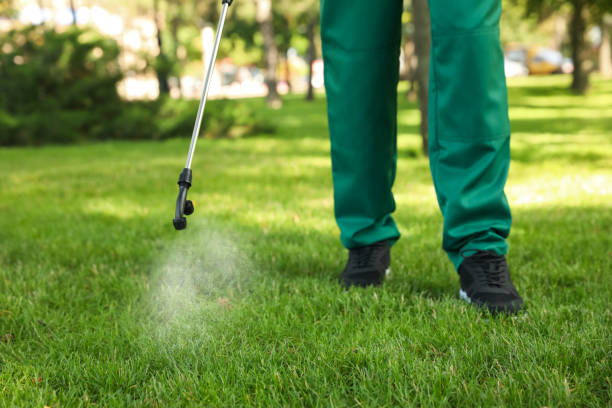 Best Insect Control  in Pce, LA