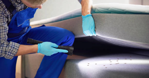 Best Commercial Pest Control Services  in Pce, LA