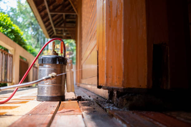 Best Exterminator Services  in Pce, LA