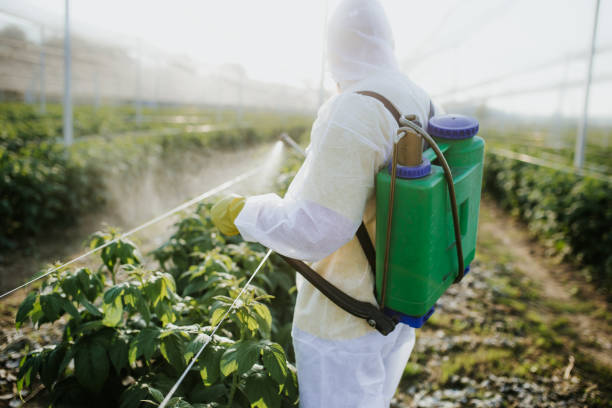 Best Pest Control Near Me  in Pce, LA